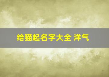 给猫起名字大全 洋气